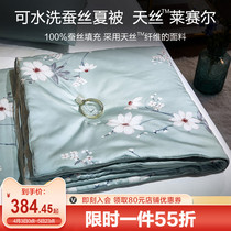 Boyo Machine Washable Silk Quilt 100% Silk Cotton Quilt Core Summer Children Summer Cool Quilt Tiansilk Air conditioning by Spring and Autumn