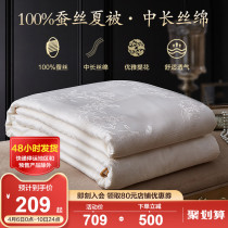 Boyang silk quilted by 100% silk air conditioning by summer and quilt by a thin section quilted by the core silk floss by the summer