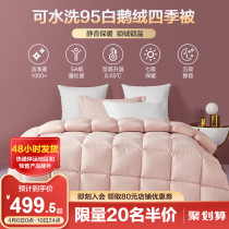 Boyo washable 95 white goose down Four Seasons Quilt Down Spring Autumn Quilt Core Double Warm All Season Universal Winter Quilt