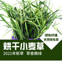 Wheat Hay Hay Hay 21 Years New Drying Green Leafs Multipasta Rabbit Grass Dragon Cat Tian Geranium Dutch Pig Herd 500g