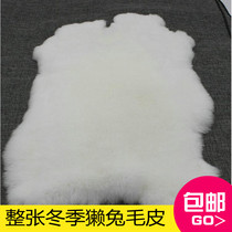 Winter Rex rabbit skin whole wool leather Rex rabbit hair DIY leather vest garment fabric inner rabbit skin knee cushion