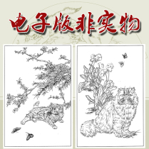 National painting animal cat white sketching work painting high-definition electronic version white sketch underdraft material 40 sheets