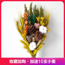  Dried flowers pine cones cotton eucalyptus leaves dried flowers Nordic style home decoration ornaments ins small fresh wall-mounted bouquet