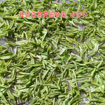 Anji white tea 2021 new tea before the Ming super high mountain quality head pick Bud 250g rare green tea
