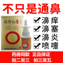 Miao native plaster root cure sinusitis acute and chronic rhinitis nasal stuffy nose non-ventilated children