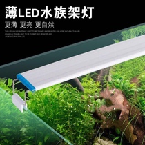 LED special light waterproof small full spectrum energy saving rack lamp mini small piece lamp small fish tank lamp
