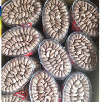 Vietnamese Cashew charcoal grilled salt baked Imported cashew nuts with skin Red label 4 boxes of nuts dried fruits Specialty snacks 