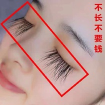 CAVILLA eyelash enhancer official website Li Jiaqi recommended growth CAVILLA eyebrow nourishing essence