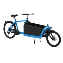 Europe cargobike retro parent-child bicycle sports version frame cargoBicycle express delivery car