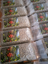 Yunnan small coffee raw beans washing treatment Katim AA level 2 Times Machine selection 2 times hand selection 1thousand grams