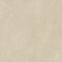 Marco Polo tile Floor Tiles 900*900 Modern Simple Fashion