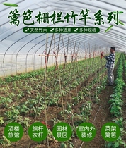 Outdoor Gardening Fence Bean Corner Cucumber Flagpole Bracket Bamboo Rod Vegetable Garden Hitch Field Tomato Silk Melon Climbing Rattan Rack