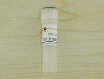 PIK Wan days beyotime kit TG1 glycerol bacteria D0389 200μl