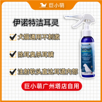 Giant small cute inot Pet ear mite ear drops special medicine cat dog treatment ear golden hair ear wash