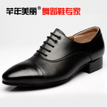 Spring and summer breathable Latin dance shoes mens leather pointed adult modern dance shoes soft bottom square friendship dance shoes men