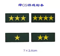 WG Live-action Green CS Gaming Level Title Starry School Summer Camp Training Chest Chapter to do the Collar Badge Magic Sticker