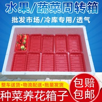 Breathable foam box vegetable growing box flat box uncovered turnover box seafood transport box balcony vegetable growing flower box