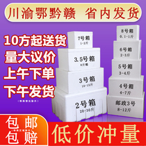 Foam box express special box insulation fresh and refrigerated seafood fruit food packing foam box small thick