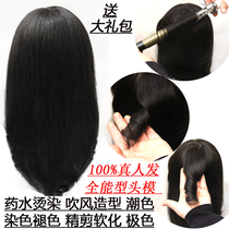 Head - mould full - life hair hair hair hair hair hair 100 % true hair hair can be hot shape