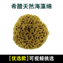  Preferred Greek natural seaweed sponge honeycomb seaweed cotton three-color pearlescent sponge shot art paint brushing sponge tool