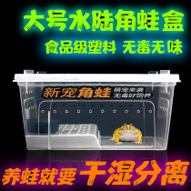 Reptile feeding box horned frog salamander guarding the palace amphibious box with lid Small turtle feeding box with sun table turtle tank