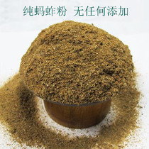 High-quality grasshopper dried grasshopper grasshopper powder pure grasshopper powder a catty