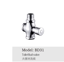 Emesco stool flushing valve full copper hand press buffer time-lapse self-closing flush valve BD31