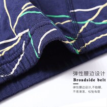 Mens Underwear Triangle Pants Pure Cotton Modale Breathability Sensation Boys Shorts