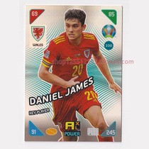 Panini 2020 2021 European Cup star card KKP key player James Wales 330: