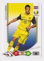 Panini 2010-2011 Serie A star Capo Sebastian Cesar Salvo Verona 87: