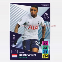 Panini Panini 2021-2022 Premier League stars Capuka Belwarm Hotspur 314 #