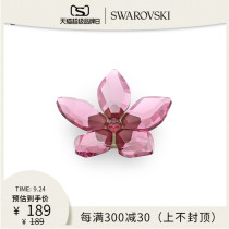 Swarovski GARDEN TALES dream cherry blossom ornaments gift for girlfriend