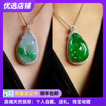 Myanmar jade belt certificate A goods jade pendant Yang green floating green full green Ruyi jade pendant Ice species 18K gold inlaid