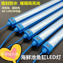 Fish tank light LED waterproof light seafood pond special fish tank light 220V blue shell fish tank Lighting LED light