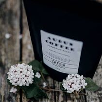 (Pre) Polish AUDUN Oden boutique coffee beans hand rushed to Kenya Ethiopia summer shallow roasting 250g