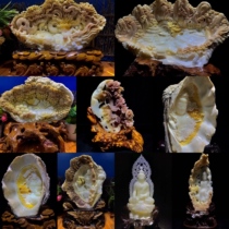 Shell ornaments landscape entrance villa cash register bookcase club into the house feng shui pendulum guanyin town house leadership gift