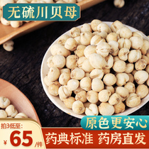 Selected Sichuan Fritillaria 10g Sichuan Chinese herbal medicine official flagship store authentic Chuanbei grain Sichuan shell powder loquat cream