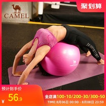 Camel yoga ball thickened explosion-proof female balance ball wave speed ball semicircular yoga equipment fitness ball yoga ball