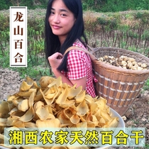 Hunan Longshan edible sulfur-free Lily dry non-Lanzhou natural farm home-produced Lily tablets 250g