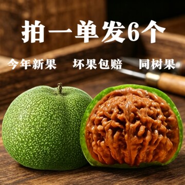 龙纹文玩核桃-龙纹文玩核桃促销价格、龙纹文玩核桃品牌- 淘宝