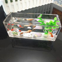 Rectangular glass fish tank Transparent thickened square tank Hydroponic plant goldfish tank Small desktop ornamental small fish tank