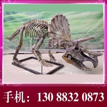 Large simulation dinosaur skeleton fossil model Museum large animal specimen archaeological excavation skeleton sculpture