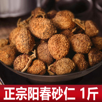 Spring Amomum Yangchun Amomum 500g specialty spring Amomum 2020 new dried fruit wild Guangdong soup material