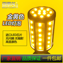 Golden light color led bulb e27 corn light warm light indoor bulb light blue pink purple background decorative light