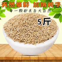 Imported Canary parrot bird oil pointed millet white pointed millet grass Lu seed bird food a piece of more than 5 pounds of province