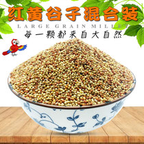  Red millet Yellow millet with shell Millet Millet grain bird Xuanfeng tiger skin Peony parrot bird food bird food feed 5 kg