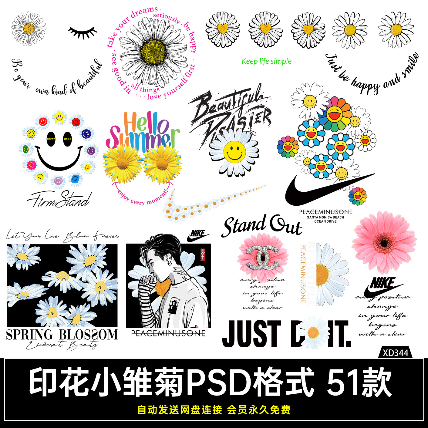 雏菊画-雏菊画促销价格、雏菊画品牌- 淘宝, image size:1411x1411