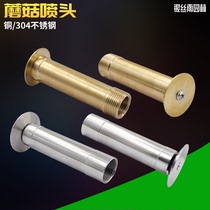 All copper 304 stainless steel mushroom hemisphere nozzle Fountain Fountain rockery landscape nozzle water scene Fountain Nozzle