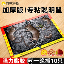 Super strong sticky mouse board home a nest end to catch sticky big mice paste sticky glue to catch rats and rats catching rat artifact 1099