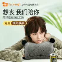 Minnie rechargeable hot water bag explosion-proof electric heater treasure electric heater palace electric heater bag plush cloth cover hand warmer baby